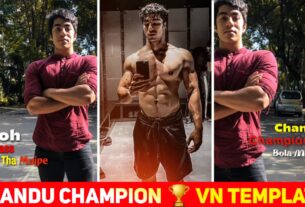 vo has raha tha mujhpe vn template